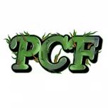 Patient Care First