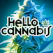 Hello Cannabis - Vista