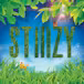 STIIIZY Vista